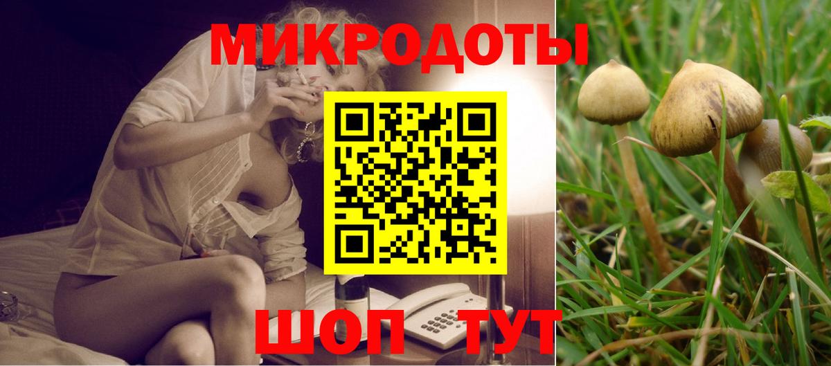 Галлюциногенные грибы MAGIC MUSHROOMS  Вход с VPN  Псилоцибиновые грибы Magic Shrooms  Апатиты 