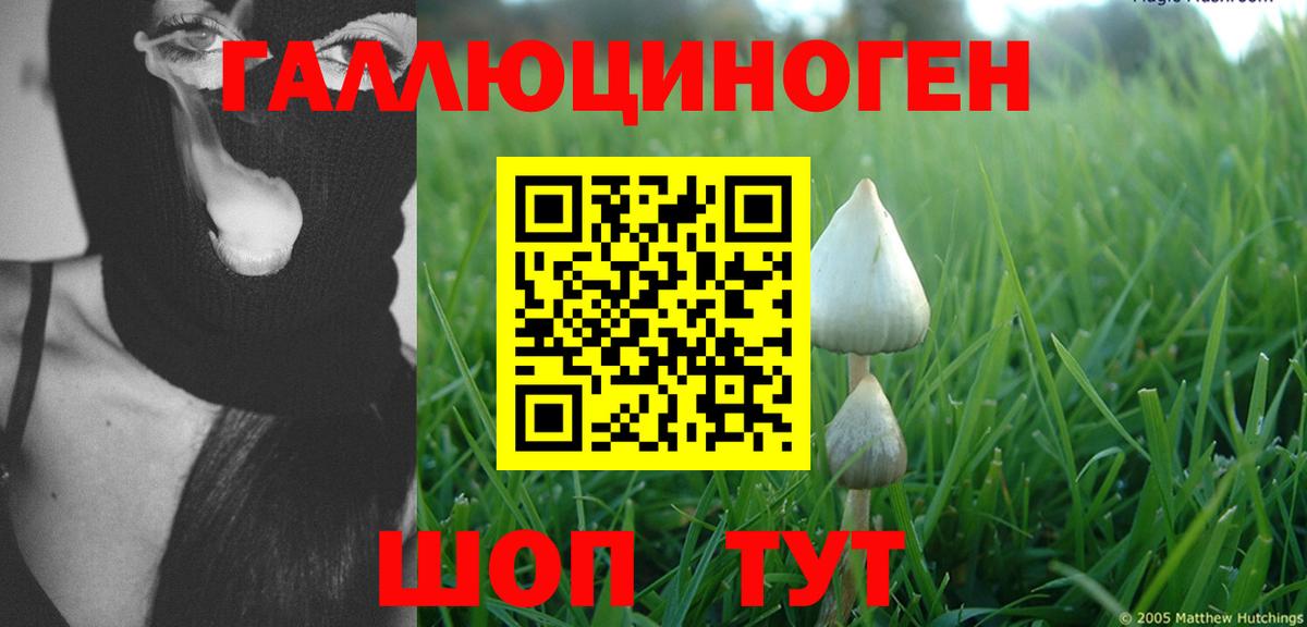 Галлюциногенные грибы Cubensis Апатиты